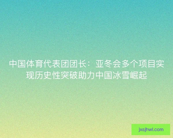 中国体育代表团团长：亚冬会多个项目实现历史性突破助力中国冰雪崛起