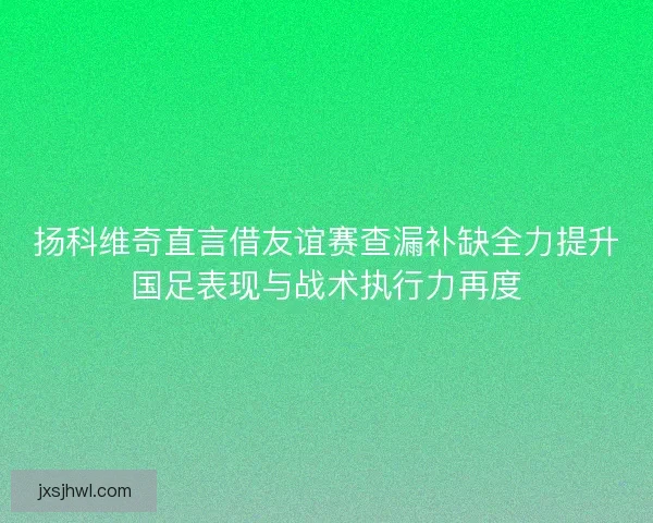扬科维奇直言借友谊赛查漏补缺全力提升国足表现与战术执行力再度